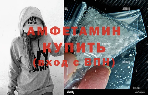прущие грибы Инта