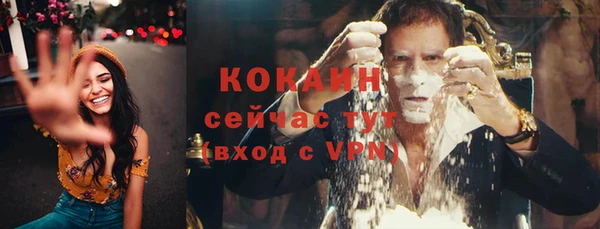 прущие грибы Инта