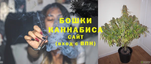 метадон Инсар