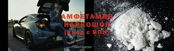 прущие грибы Инта