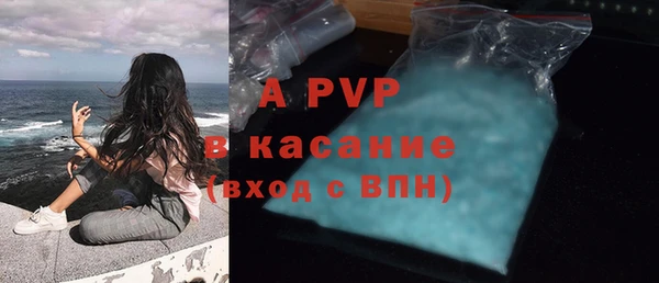 прущие грибы Инта