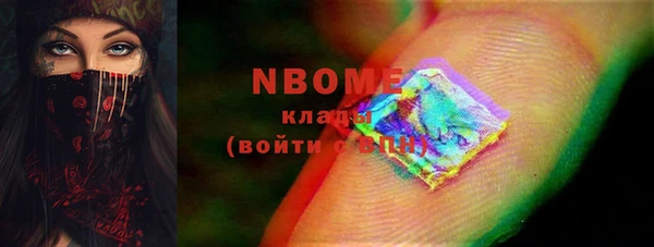 прущие грибы Инта