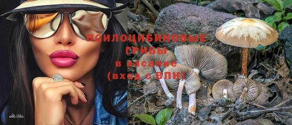 герыч Иннополис