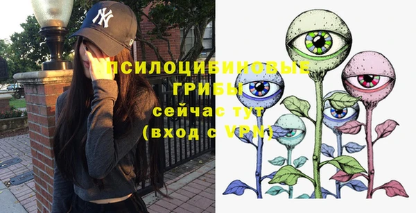 метадон Инсар