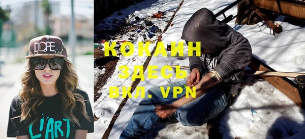 прущие грибы Инта