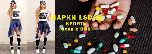 прущие грибы Инта