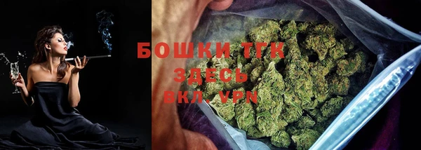 прущие грибы Инта