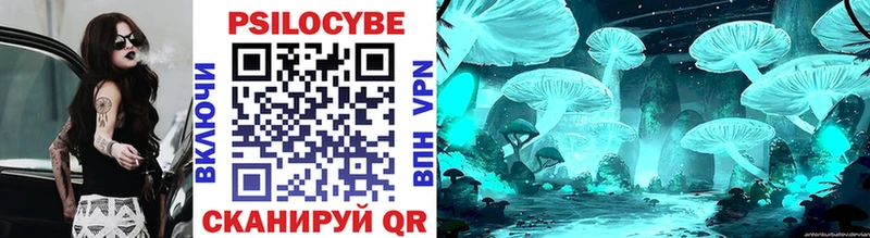 Купить закладки  Адыгейск  Псилоцибиновые грибы мицелий 